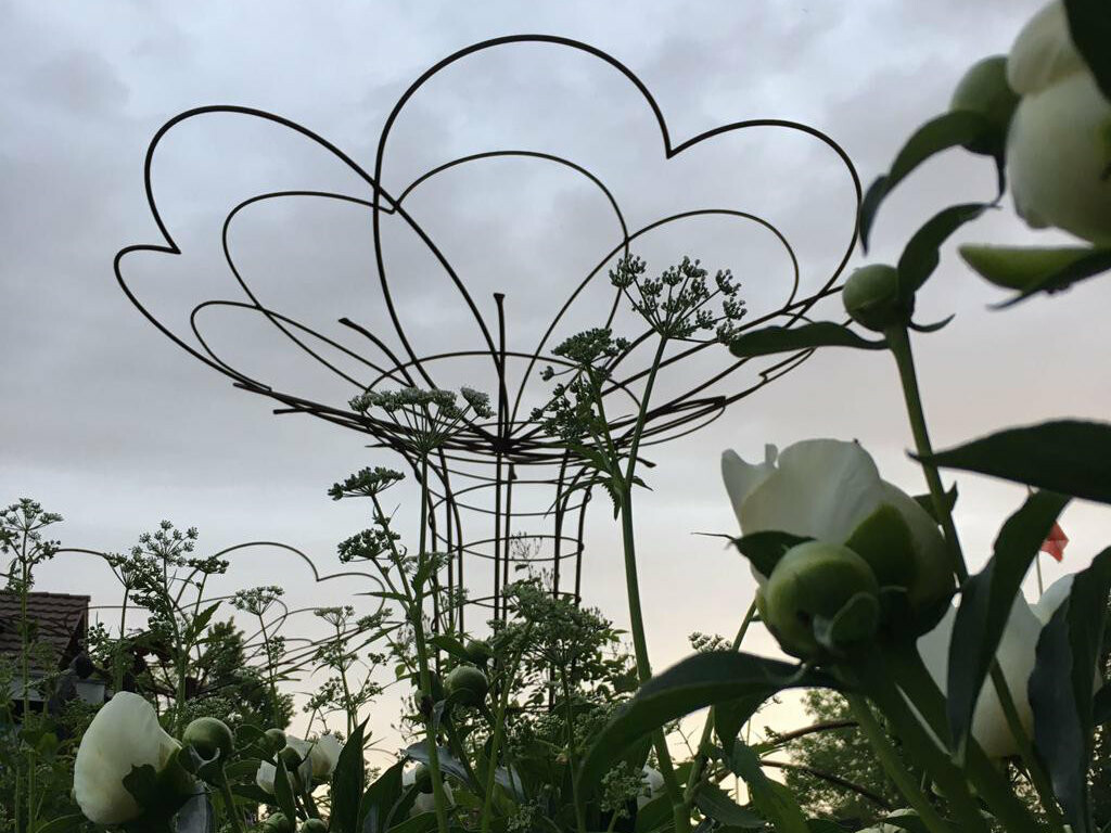 Klettergerüst für Pflanzen 01