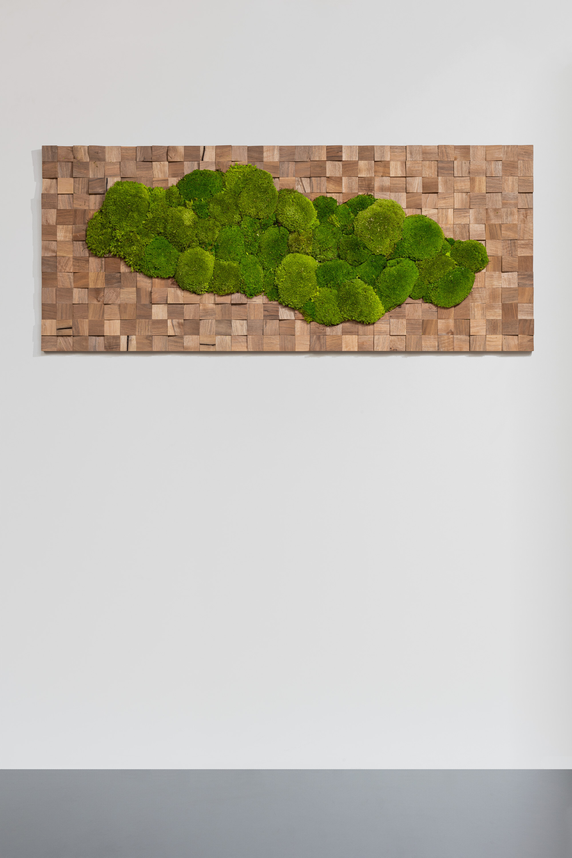 Naturbild aus Nussbaum und Kugelmoos 01