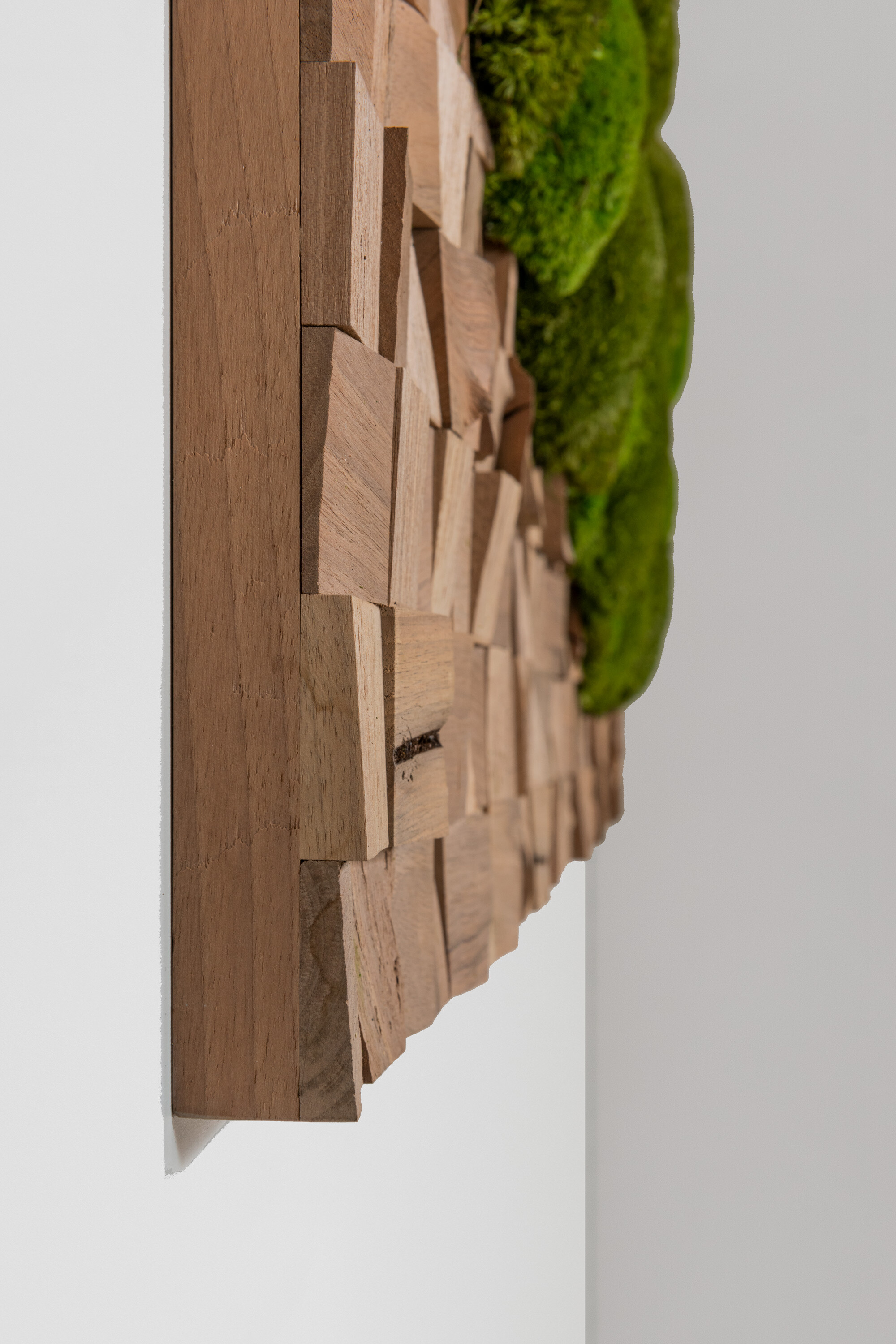 Naturbild aus Nussbaum und Kugelmoos 02