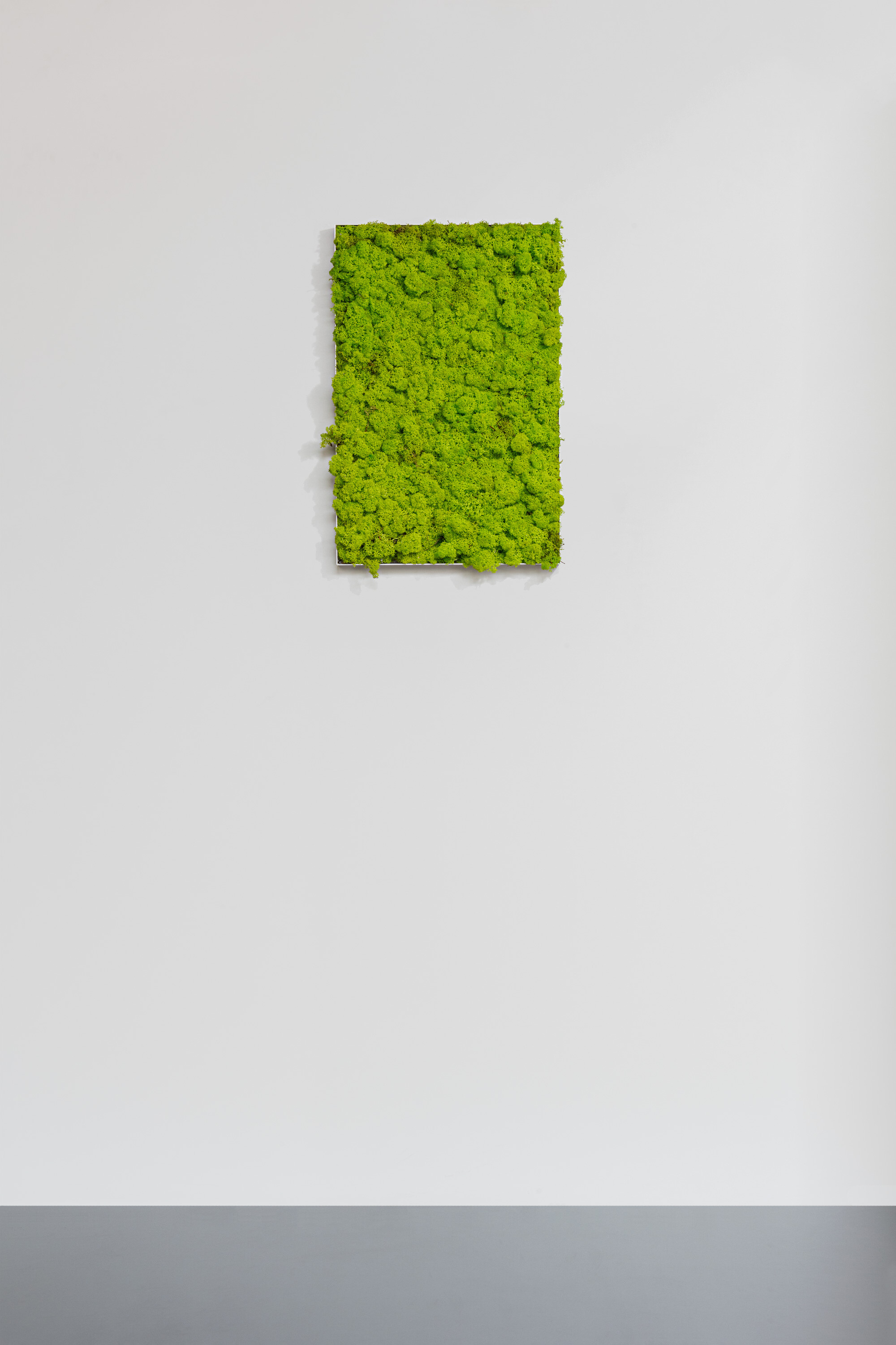 Moosbild aus Islandmoos, Frühlingsgrün 01