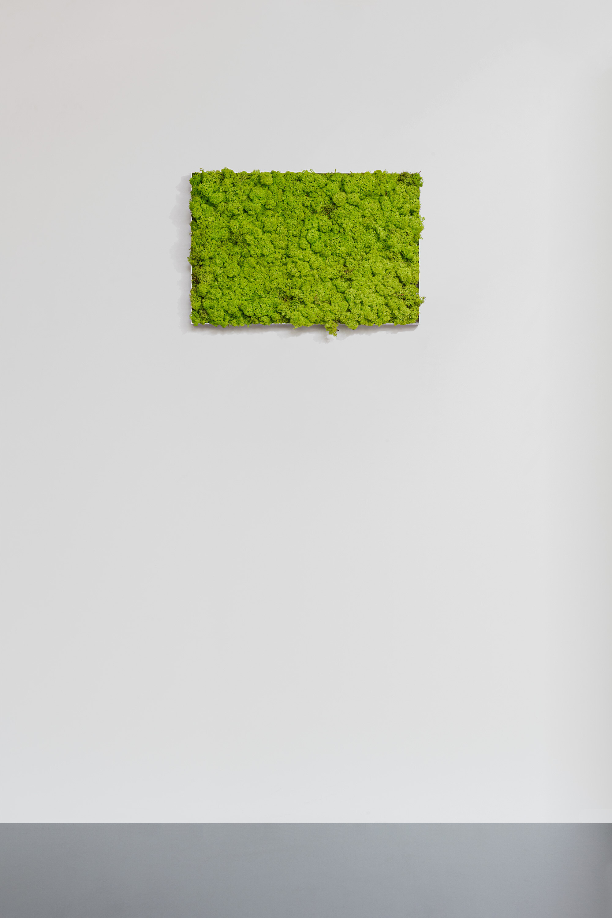 Moosbild aus Islandmoos, Frühlingsgrün 02