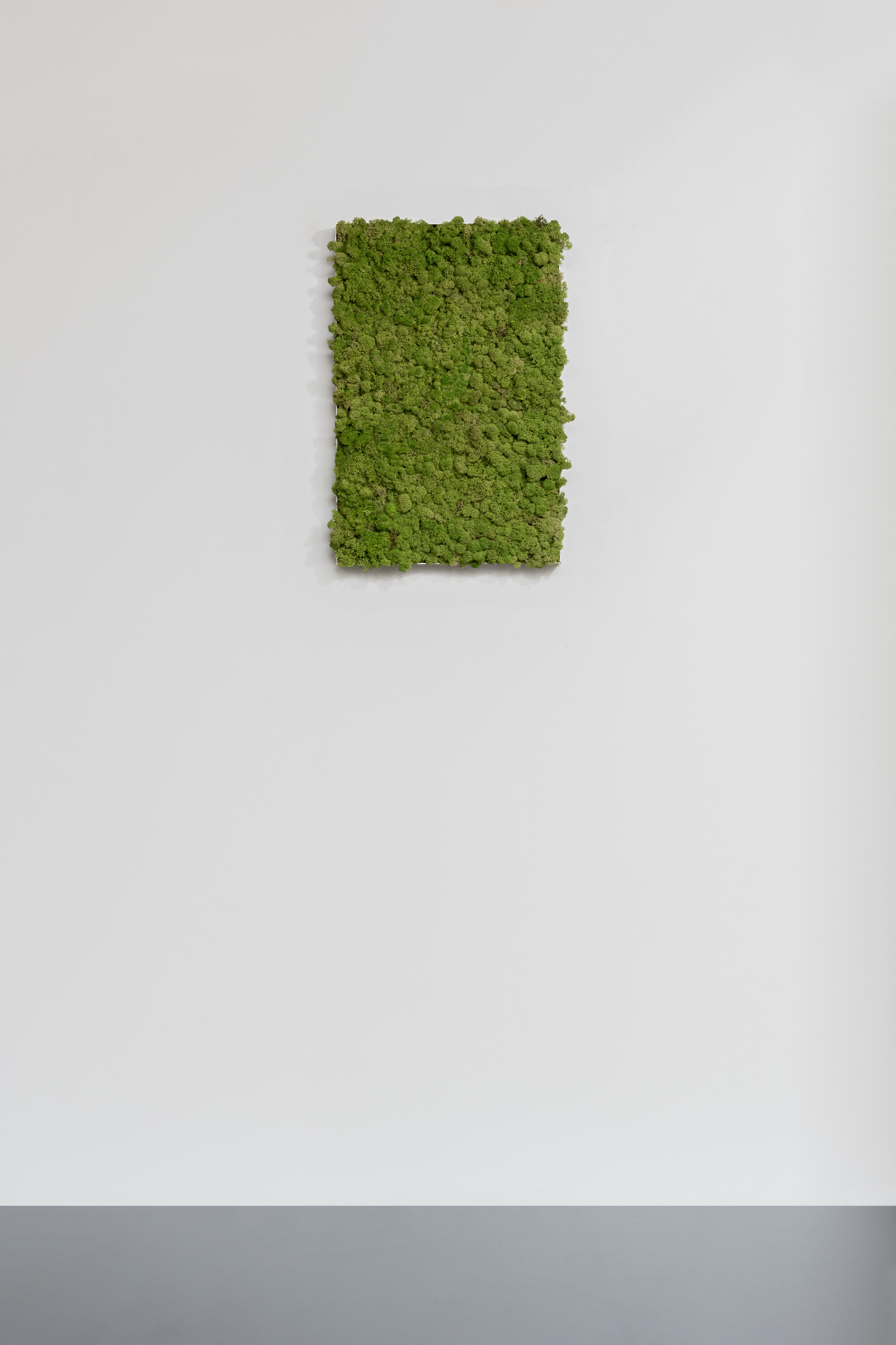 Moosbild aus Islandmoos, Dunkelgrün 01