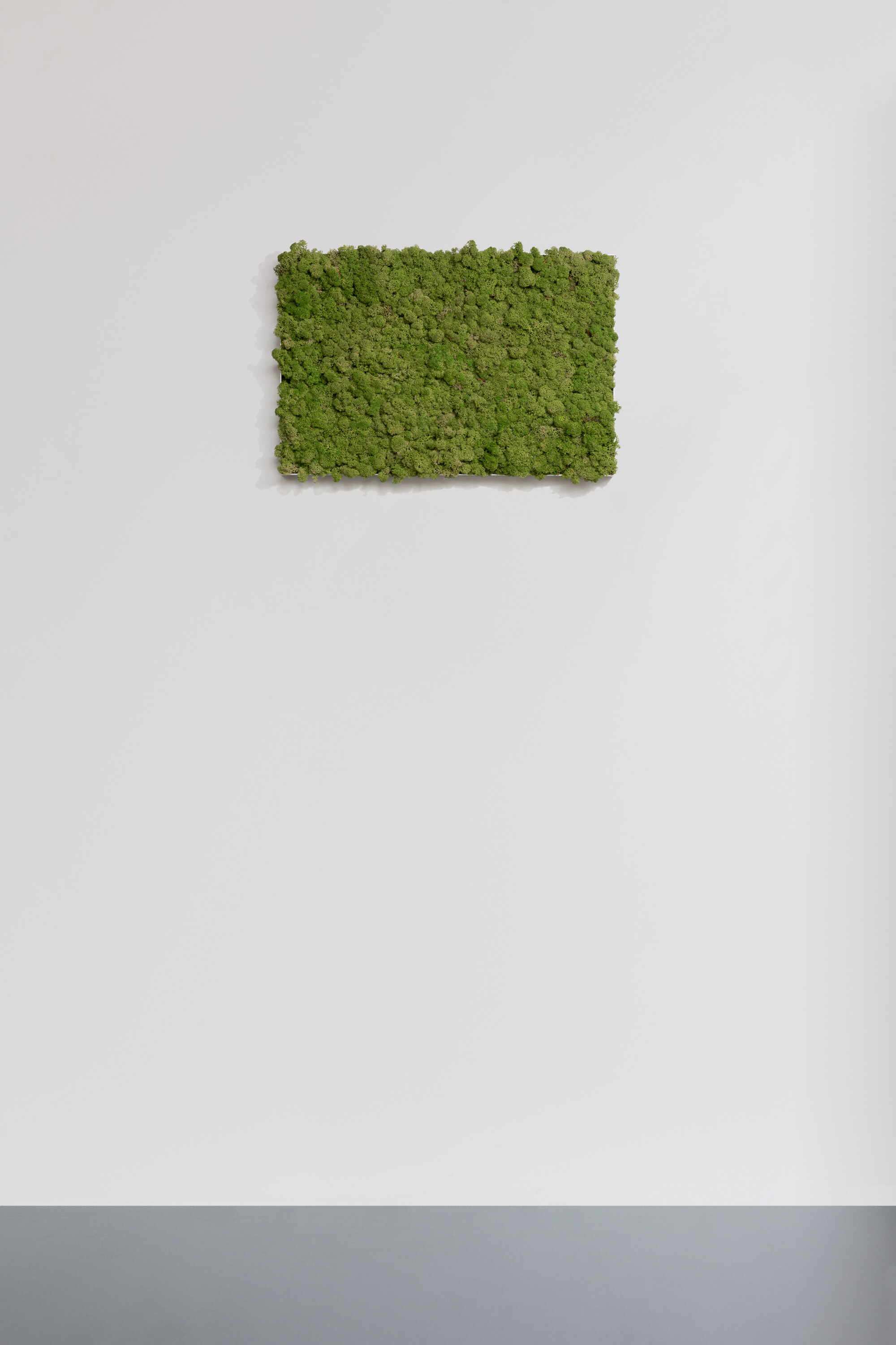 Moosbild aus Islandmoos, Dunkelgrün 02