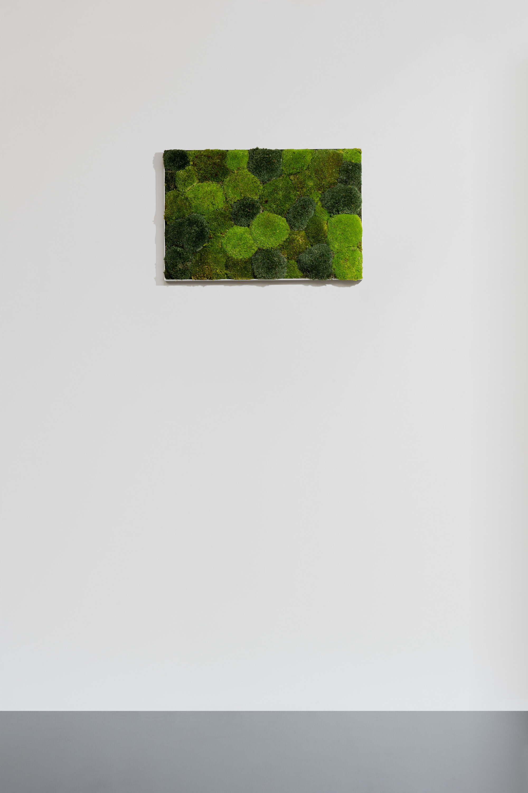 Moosbild aus Kugelmoos, Frühlings-, Wald- und Dunkelgrün gemischt 02