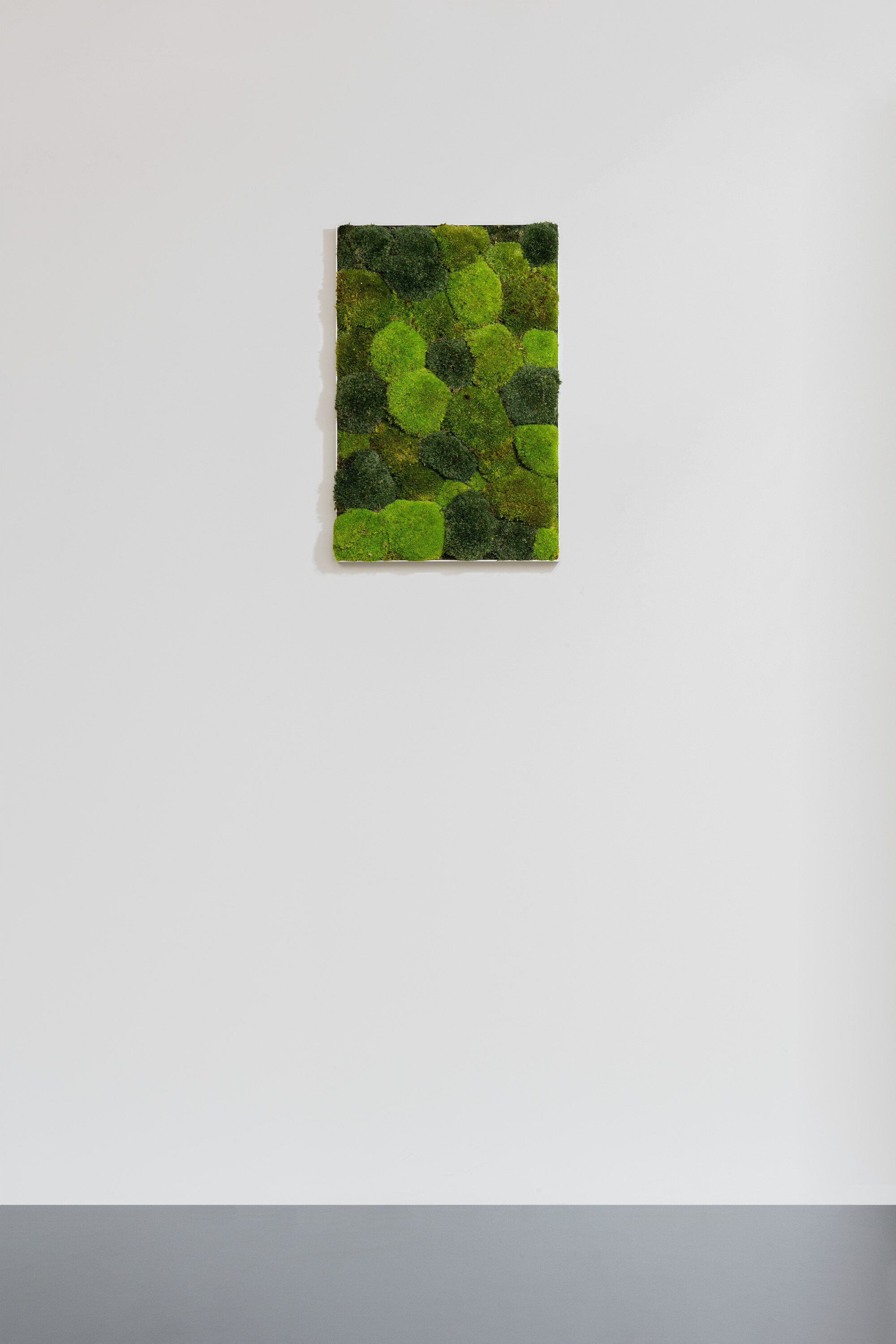 Moosbild aus Kugelmoos, Frühlings-, Wald- und Dunkelgrün gemischt 01
