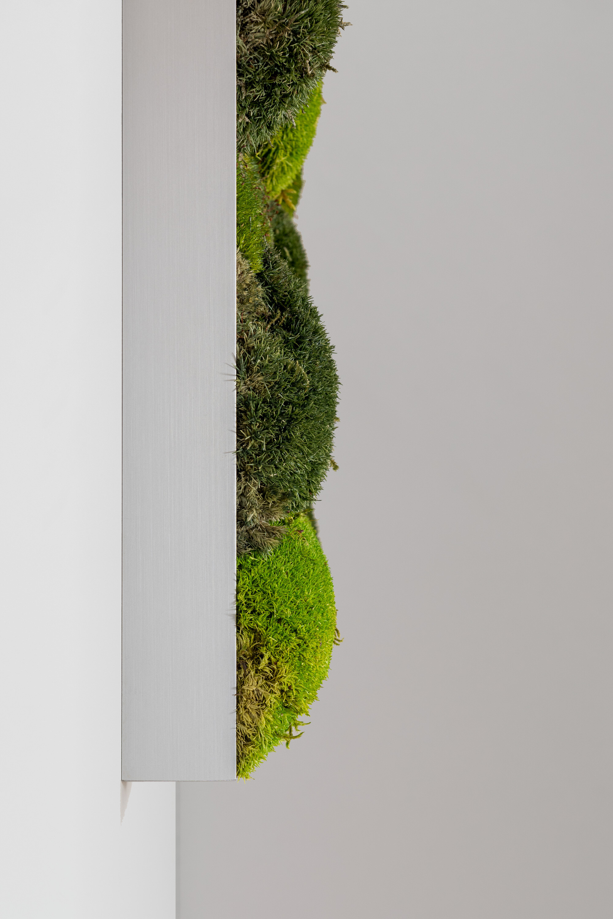 Moosbild aus Kugelmoos, Frühlings-, Wald- und Dunkelgrün gemischt 03