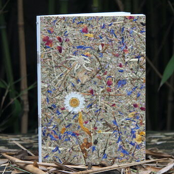 Notizbuch A5 / Bergwiese mit Margerite 01