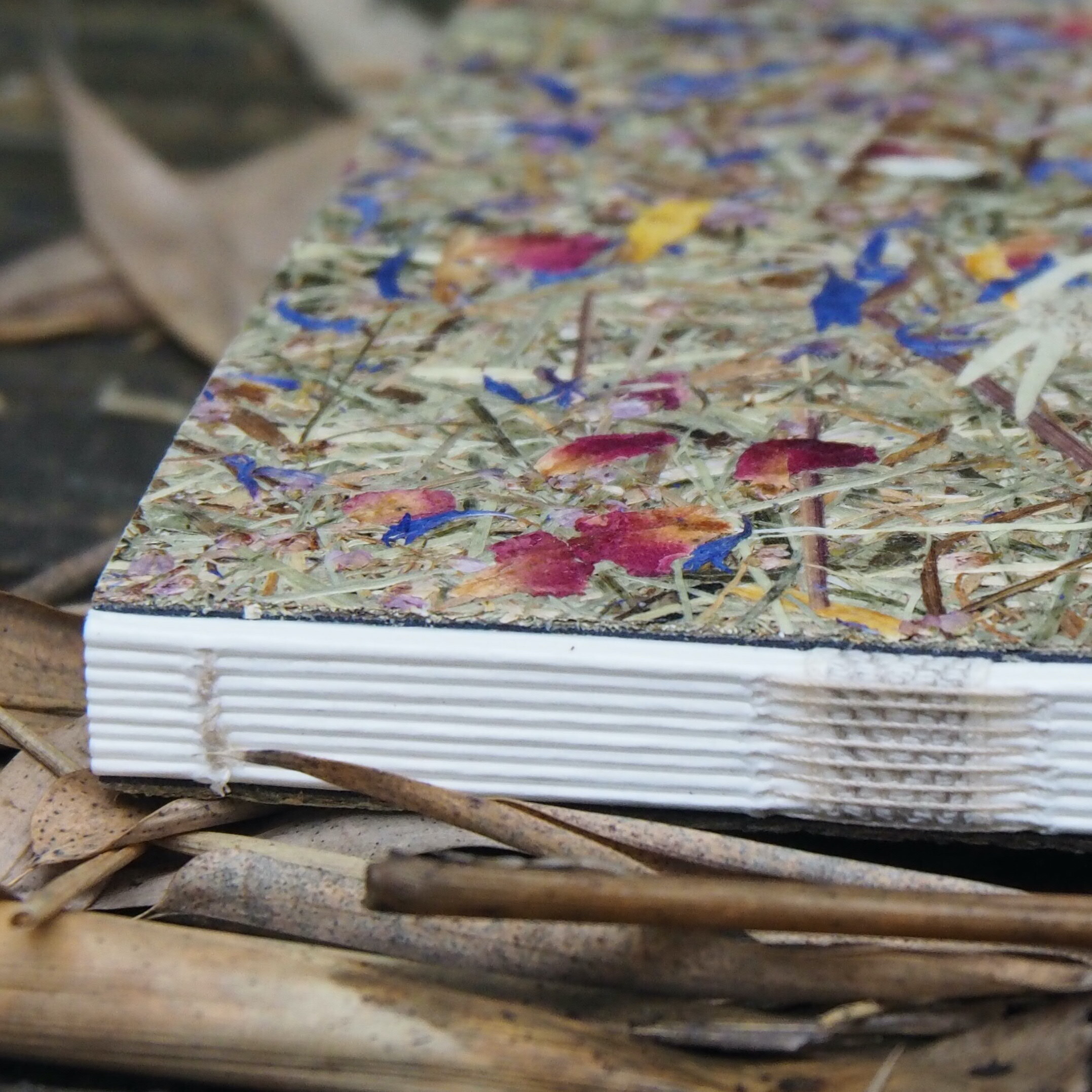 Notizbuch A5 / Bergwiese mit Margerite 02