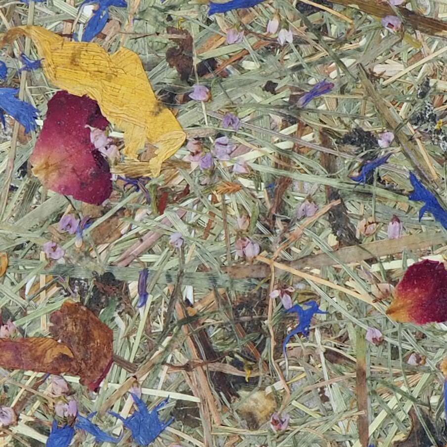 Notizbuch A5 / Bergwiese 01