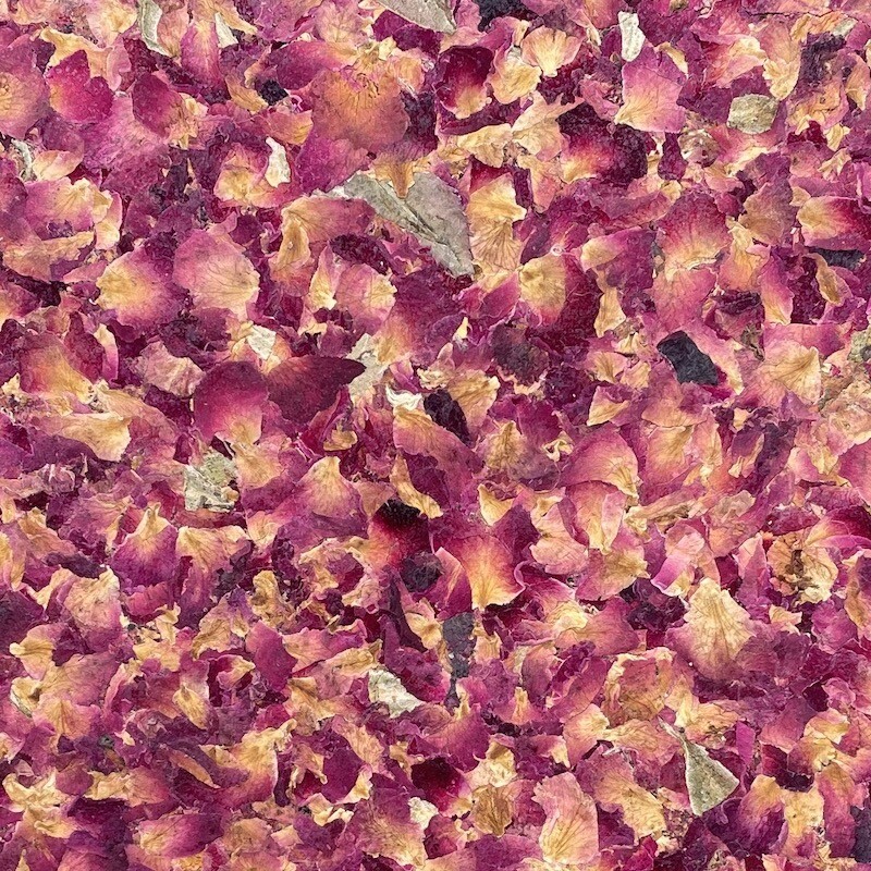 Notizbuch A5 / Rosenbluete 02