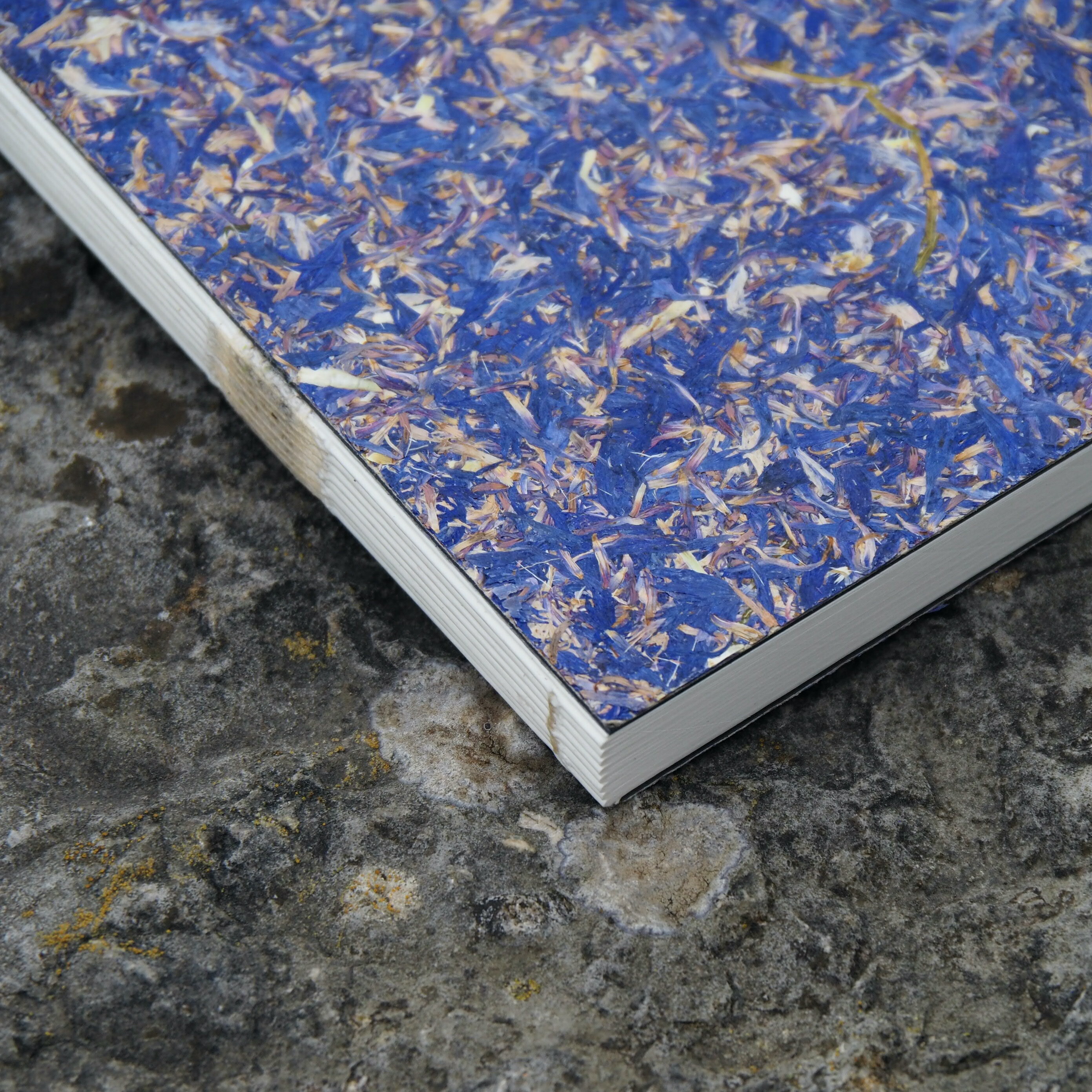 Notizbuch A5 / Kornblume 02