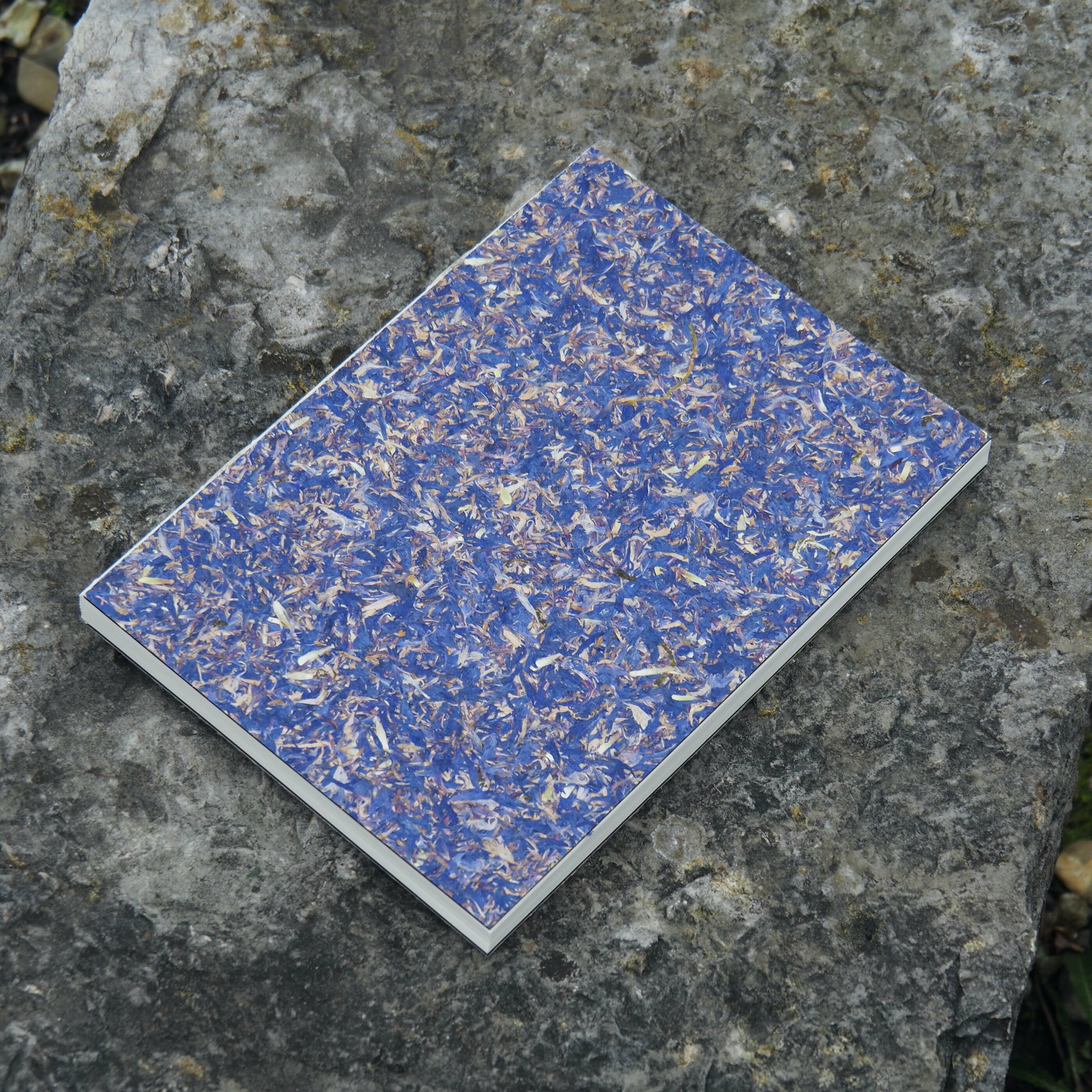 Notizbuch A5 / Kornblume 03