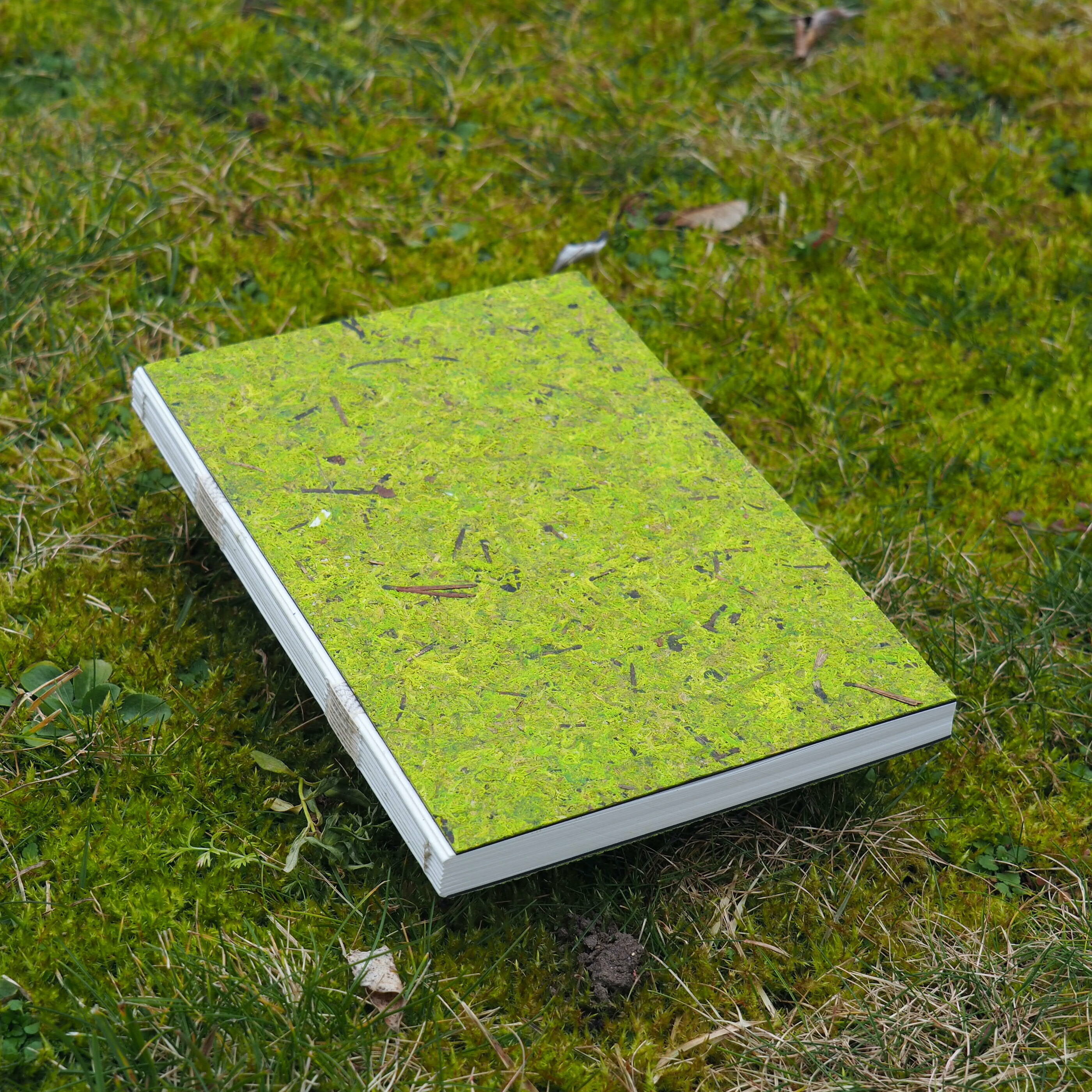 Notizbuch A5 / Waldmoos 03