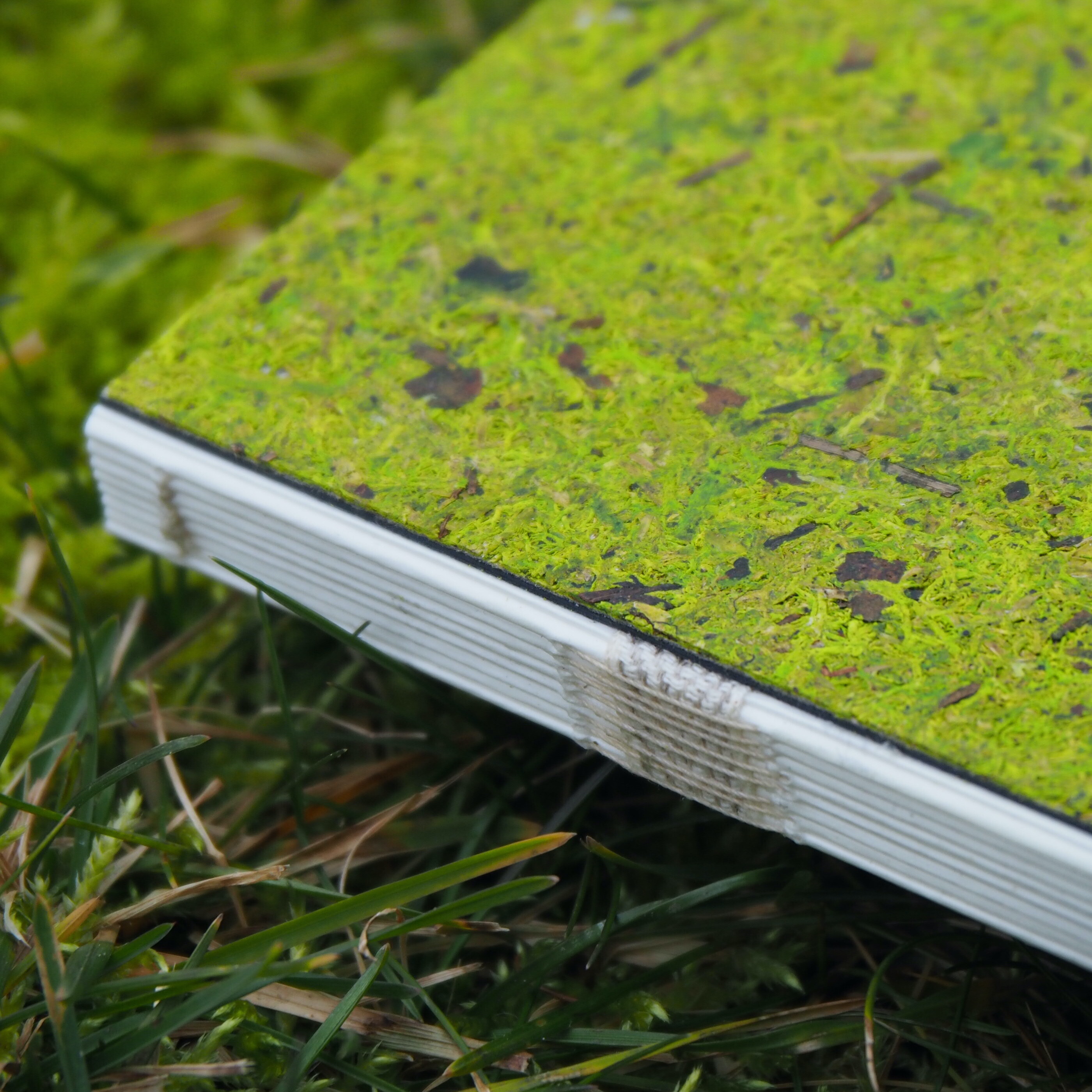 Notizbuch A5 / Waldmoos 02