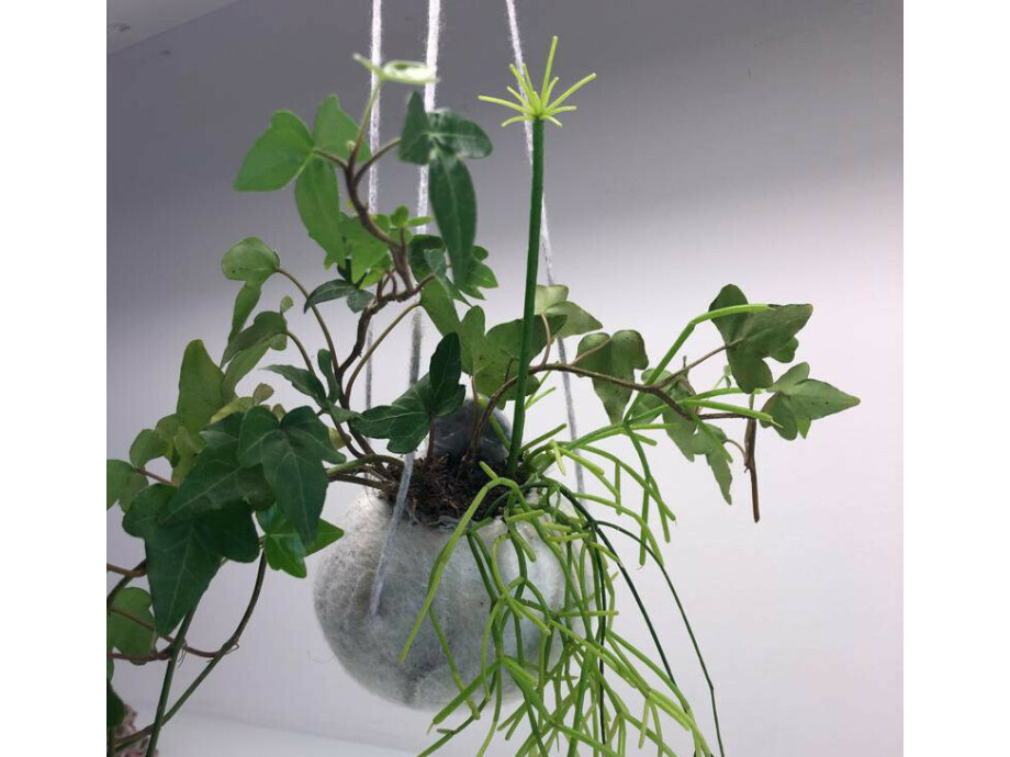 Blumenampel Steinoptik