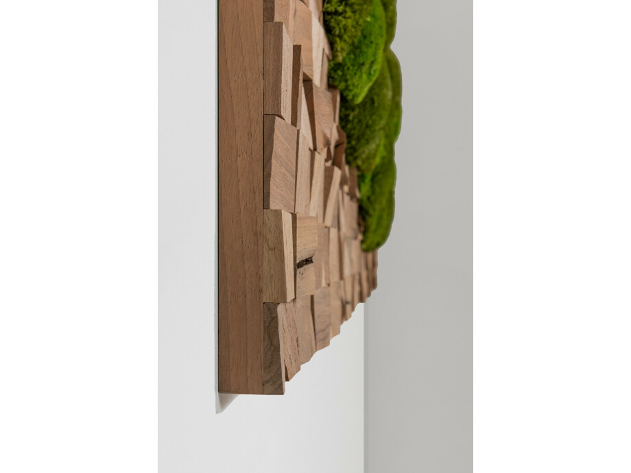 Naturbild aus Nussbaum und Kugelmoos 02