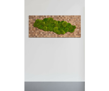 Naturbild aus Nussbaum und Kugelmoos 01