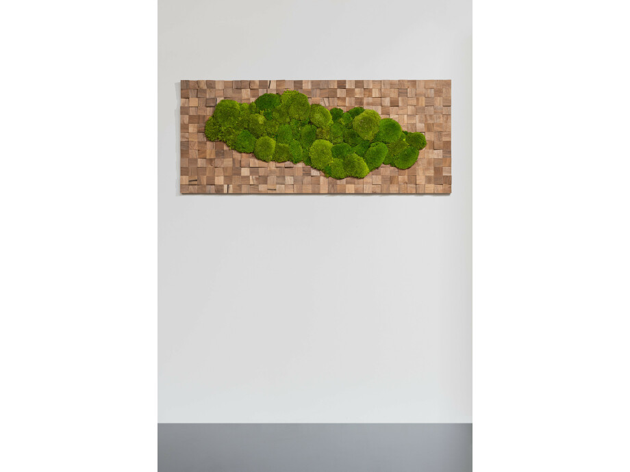 Naturbild aus Nussbaum und Kugelmoos 01