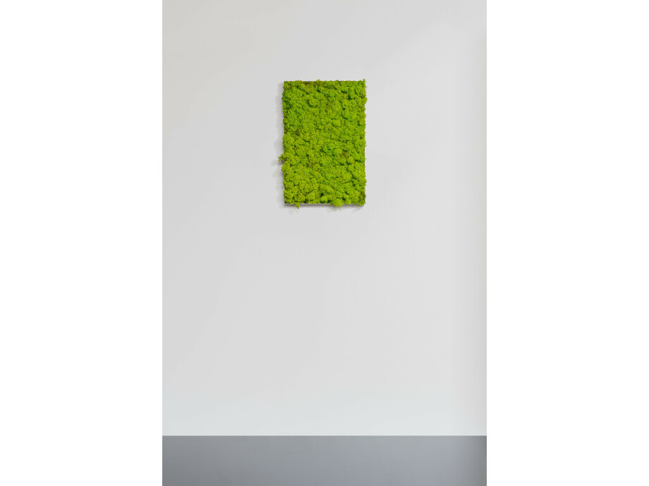 Moosbild aus Islandmoos, Frühlingsgrün 01