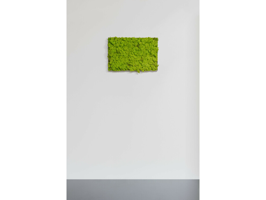 Moosbild aus Islandmoos, Frühlingsgrün 02