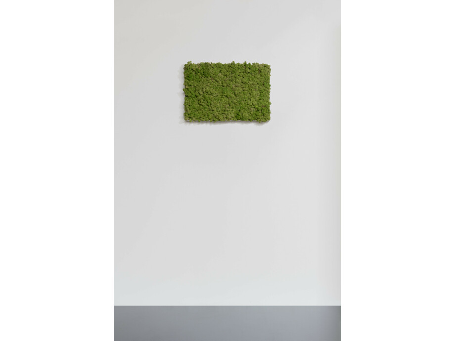 Moosbild aus Islandmoos, Dunkelgrün 02