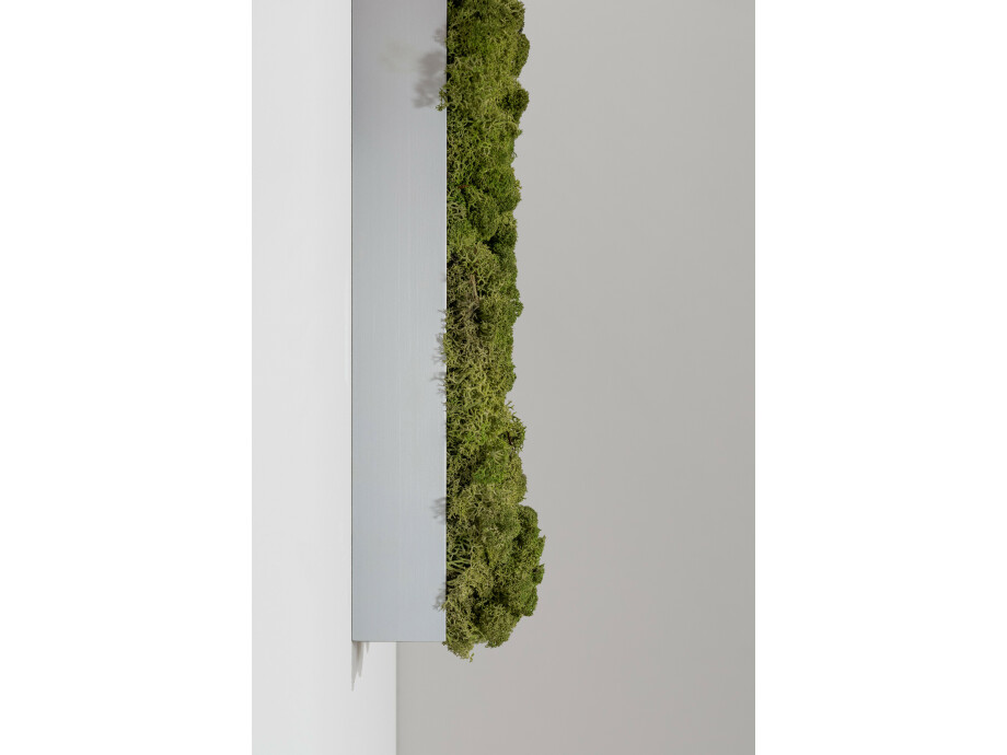 Moosbild aus Islandmoos, Dunkelgrün 03