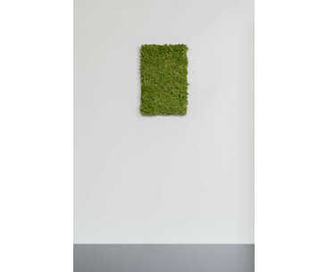 Moosbild aus Islandmoos, Dunkelgrün 01