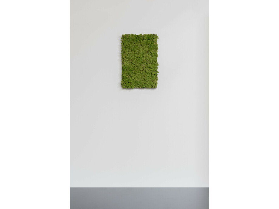 Moosbild aus Islandmoos, Dunkelgrün 01