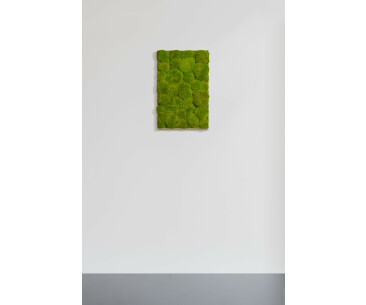 Moosbild aus Kugelmoos, Frühlingsgrün 01