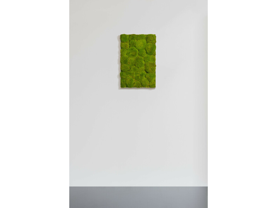 Moosbild aus Kugelmoos, Frühlingsgrün 01