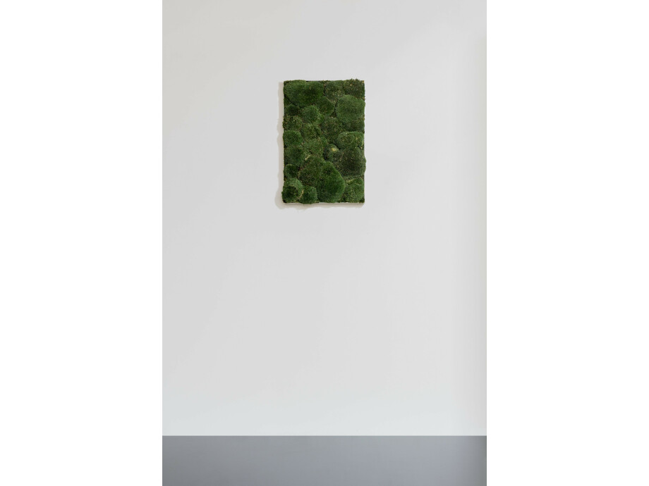Moosbild aus Kugelmoos, Dunkelgrün 01