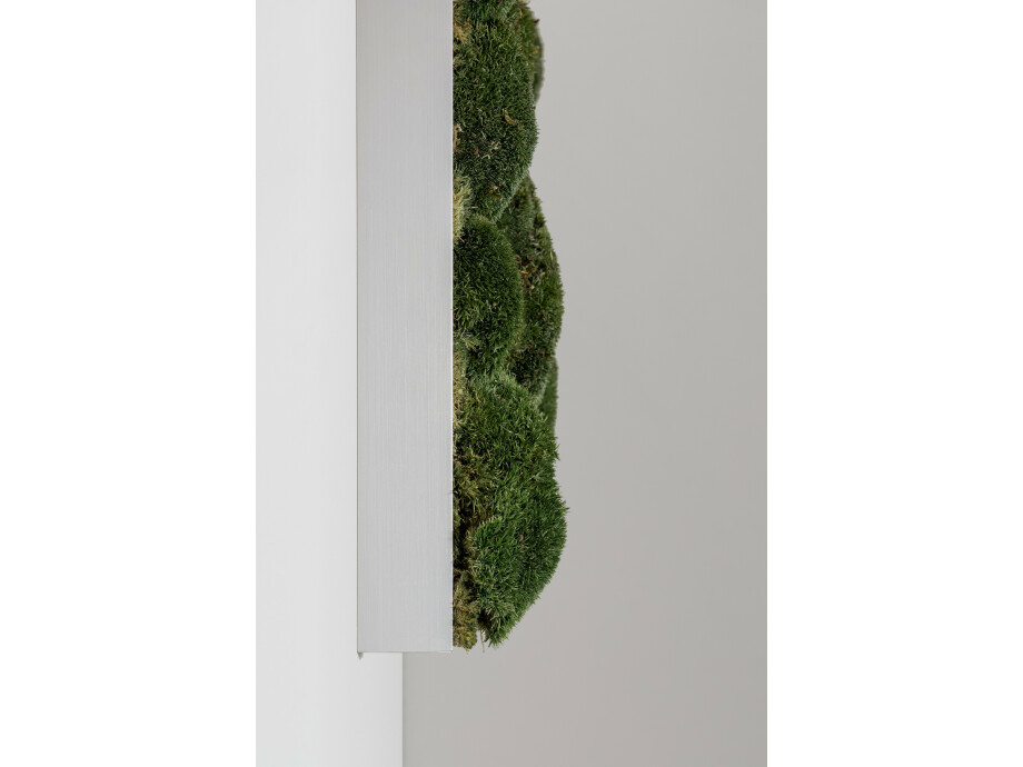 Moosbild aus Kugelmoos, Dunkelgrün 03