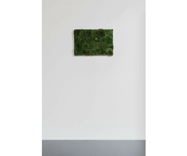 Moosbild aus Kugelmoos, Dunkelgrün 02