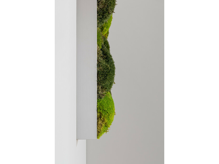 Moosbild aus Kugelmoos, Frühlings-, Wald- und Dunkelgrün gemischt 03
