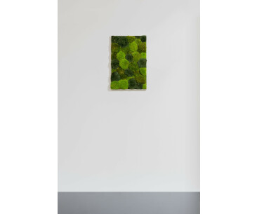 Moosbild aus Kugelmoos, Frühlings-, Wald- und Dunkelgrün gemischt 01