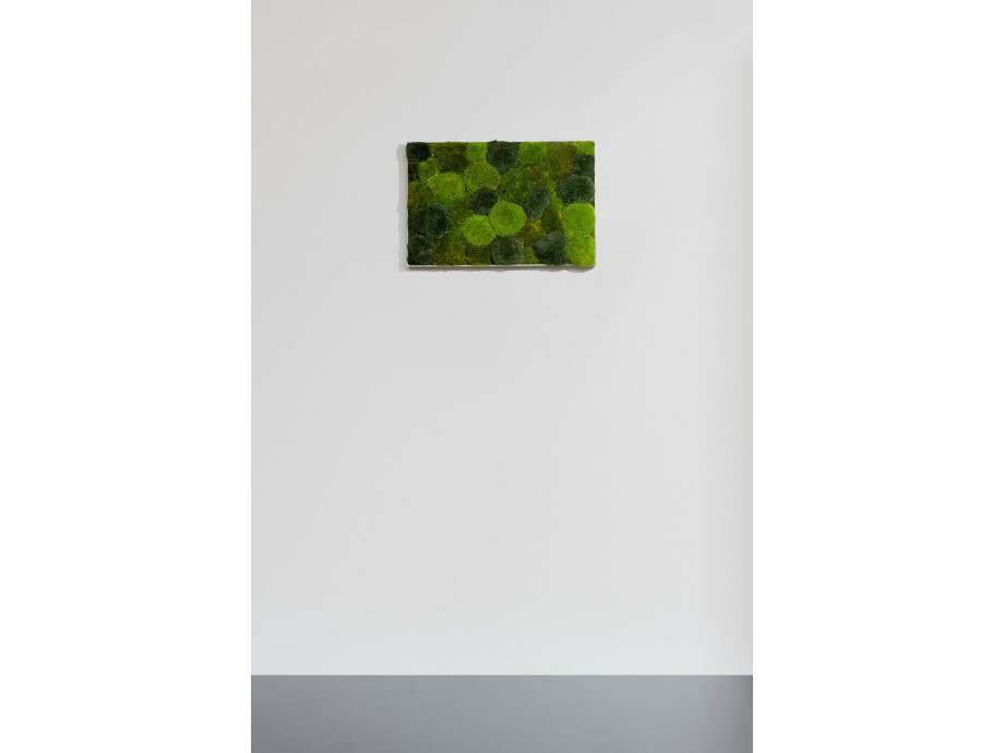 Moosbild aus Kugelmoos, Frühlings-, Wald- und Dunkelgrün gemischt 02