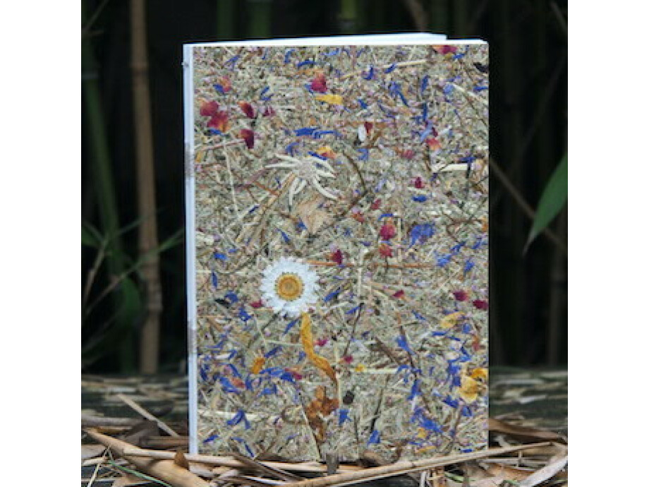 Notizbuch A5 / Bergwiese mit Margerite 01