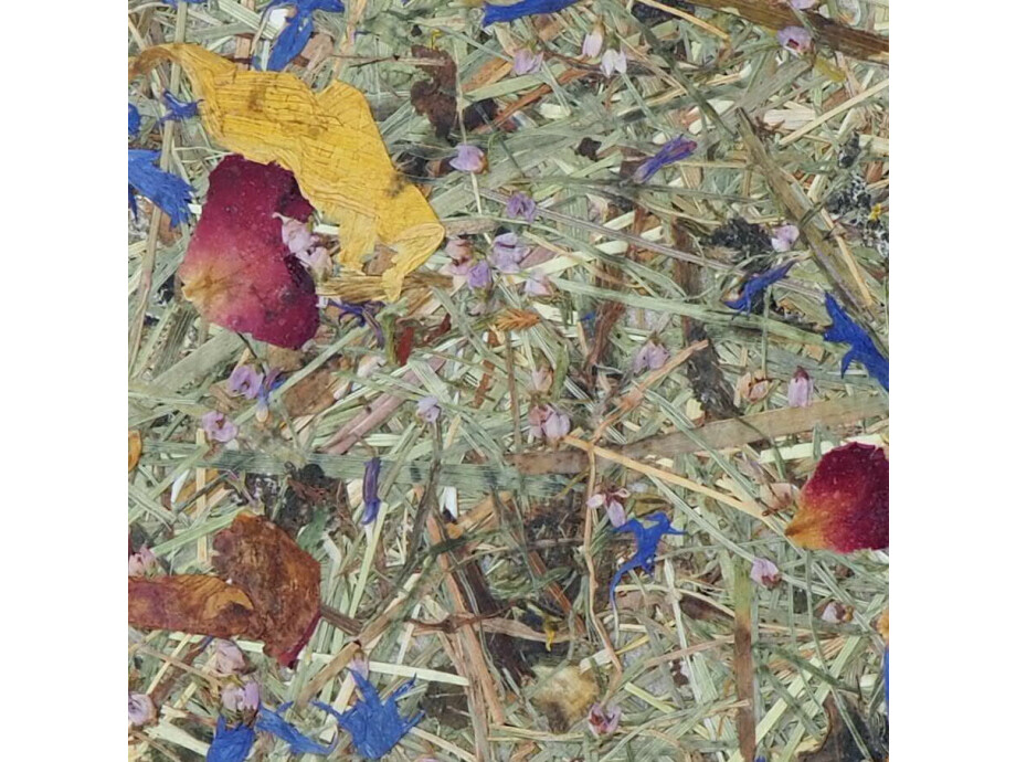 Notizbuch A5 / Bergwiese 01