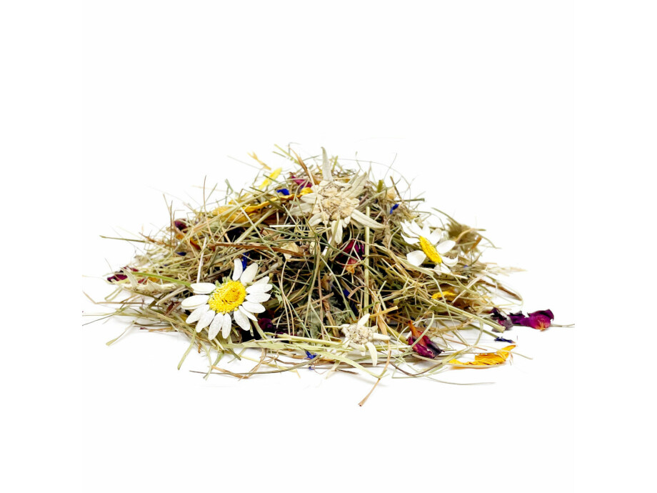 Notizbuch A5 / Bergwiese 05