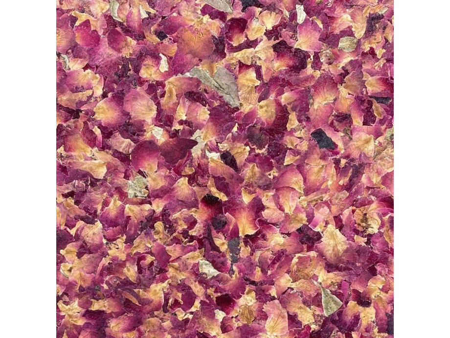 Notizbuch A5 / Rosenbluete 02