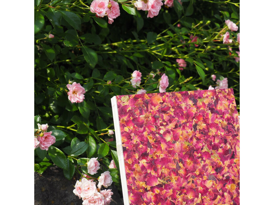 Notizbuch A5 / Rosenbluete 04