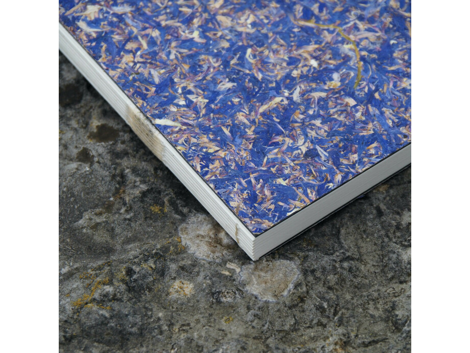 Notizbuch A5 / Kornblume 02