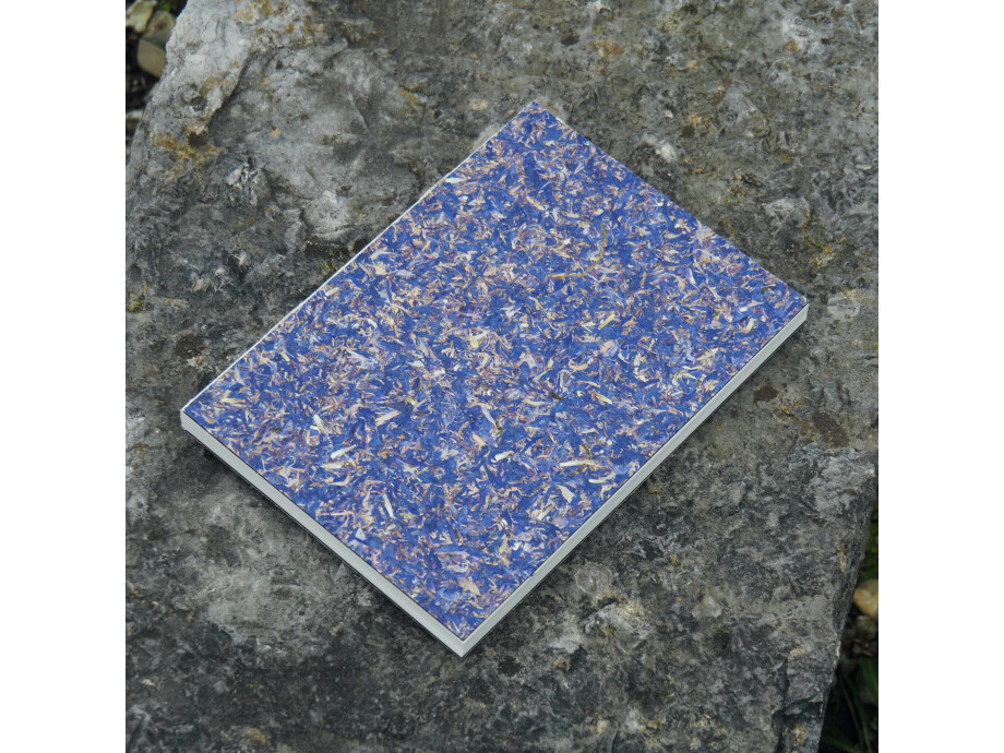 Notizbuch A5 / Kornblume 03