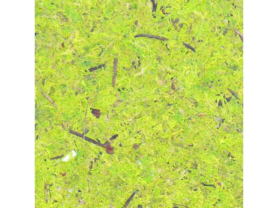 Notizbuch A5 / Waldmoos 05